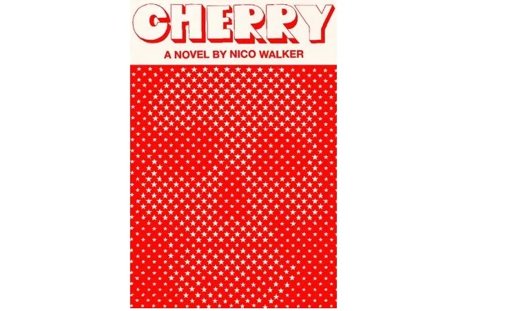A photo of the cover of Cherry, a novel by Nico Walker, designed by Janet Hansen.